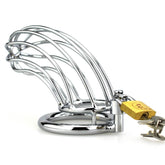BDStyle Silver Caged Tiger Male Chastity Device Male Chastity